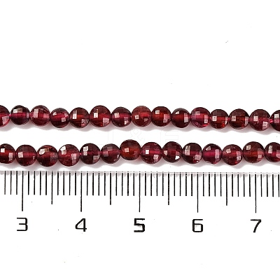 Natural Garnet Beads Strands X-G-F770-B02-01-1