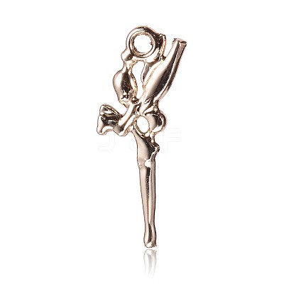 Alloy Pendants PALLOY-O062-37-1