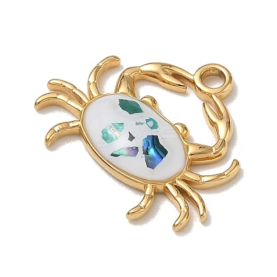 304 Stainless Steel & Natural Shell & Enamel Pendants SA-CBACF51-02G-1
