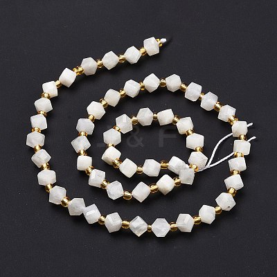 Natural White Moonstone Beads Strands G-P463-16-1