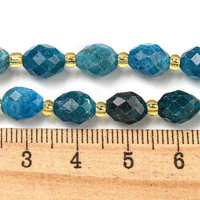 Natural Apatite Beads Strands G-N342-48-1