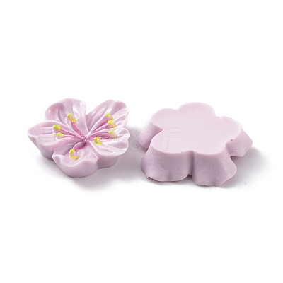 Resin Cabochons OACR-U002-03E-1