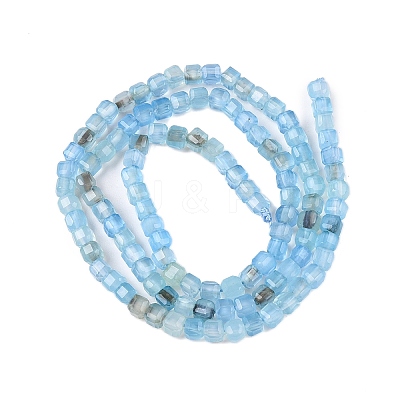 Dyed Natural Agate Beads Strands G-T138-211C-1