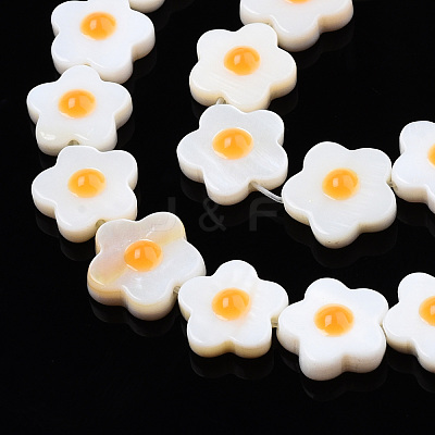 Natural Freshwater Shell Beads Strands SHEL-N003-31C-01-1