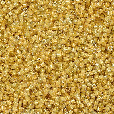 MIYUKI Delica Beads SEED-X0054-DB2041-1