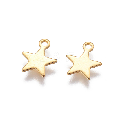 304 Stainless Steel Charms X-STAS-G190-27G-B-1