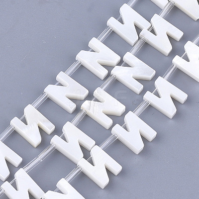 Natural Freshwater Shell Beads SHEL-T012-59N-1