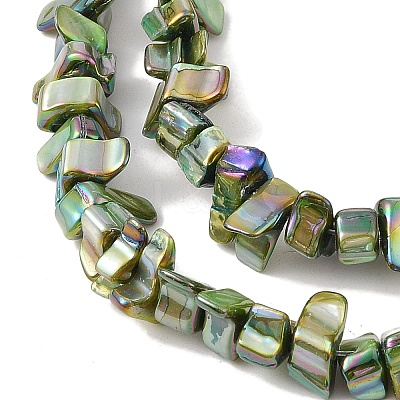 Natural Freshwater Shell Beads Strands BSHE-H018-07C-1