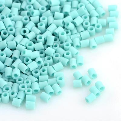 TOHO Japanese Seed Beads SEED-Q013-55-1