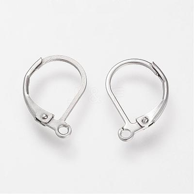 Tarnish Resistant 304 Stainless Steel Leverback Earring Findings STAS-S066-13-1