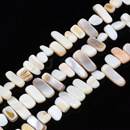 Natural Trochid Shell/Trochus Shell Beads Strands SHEL-S258-082-A01-1