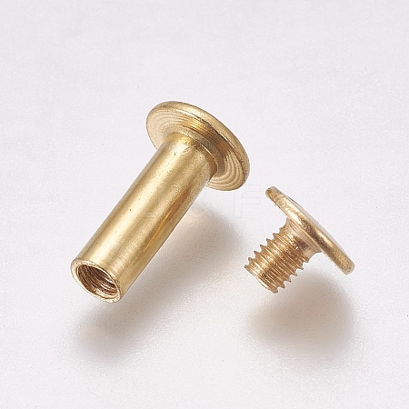 Iron Screw Rivets IFIN-WH0051-09B-G-1