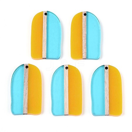 Transaprent Resin & Wood Pendants RESI-T057-81-1