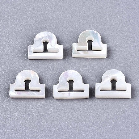 Natural White Shell Beads LS-SSHEL-ZX004-02I-1