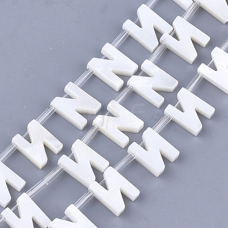 Natural Freshwater Shell Beads SHEL-T012-59N-1