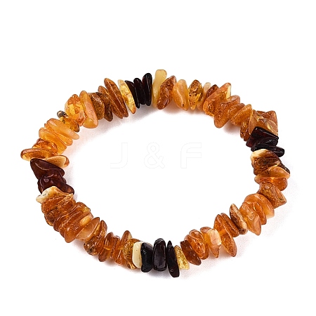 Natural Amber Chip Beaded Stretch Bracelets BJEW-N041-01B-1