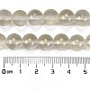 Frosted Transparent Glass Bead Strands GLAA-P065-10mm-01-3