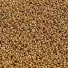 TOHO 6/0 Demi Round Beads Y-SEED-DR06-PF557-2