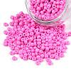 Baking Paint Glass Seed Beads SEED-S001-K2-1