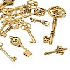 Tibetan Style Alloy Pendants FIND-D040-01AG-2