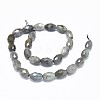 Natural Labradorite Beads Strands G-F632-16A-1