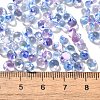 Transparent Baking Paint Glass Seed Beads SEED-P006-02B-01-4