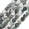 Natural Tree Agate Beads Strands G-D362-A02-2