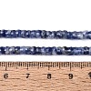 Natural Blue Spot Jasper Beads Strands G-Q606-46A-02-5