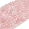 Natural Madagascar Rose Quartz Beads Strands G-Q060-E21-02-2