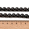 Natural Garnet Gemstone Beads Strands G-R263-9mm-4