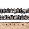Natural Syenite Beads Strands G-D091-A32-5