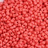 Baking Paint Glass Seed Beads X1-SEED-K010-A08-2