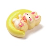 Resin Cabochons X1-CRES-Z010-03M-2
