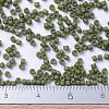 MIYUKI Delica Beads Small SEED-JP0008-DBS0391-4