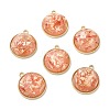 Resin Shell Pendants RESI-D054-02LG-06-1