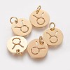 304 Stainless Steel Charms STAS-Q201-T445-2G-1