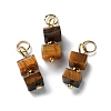 Natural Tiger Eye Cuboid Beaded Pendants STAS-C120-02G-05-1