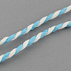 Twisted Paper Cord DIY-S003-01-20m-3