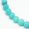 Grade A Natural Gemstone Amazonite Round Beads Strands G-O017-6mm-08A-3