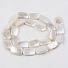Electroplate Natural Freshwater Shell Beads Strands SHEL-R049-027C-2