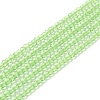 Transparent Glass Beads Strands GLAA-C019-01B-19-1