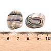 Natural Paua Shell Pendants X-SHEL-T020-11A-3