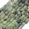 Natural Prehnite Beads Strands G-C289-A04-01-2
