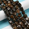 Natural Dalmatian Jasper Beads Strands G-C038-02A-04-2