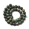 Natural Green Apatite Beads Strands G-K350-C04-10mm-3