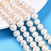 Natural Cultured Freshwater Pearl Beads Strands PEAR-L001-A-08-01-1