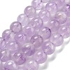 Natural Amethyst Beads Strands G-F306-11-10mm-1