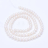 Natural Cultured Freshwater Pearl Beads Strands PEAR-R063-09-2