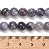 Natural Iolite Beads Strands X-G-G300-A04-8mm-5