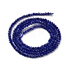 Natural Sodalite Beads Strands G-B088-C04-02-3